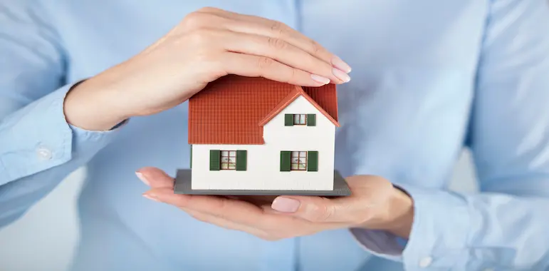 toy home being held